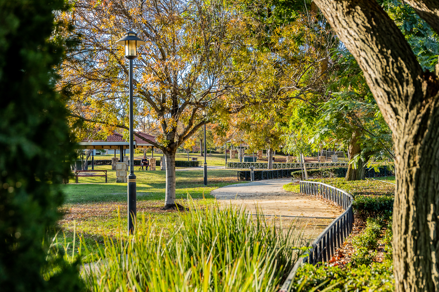 Explore Subi's beautiful parks this summer | City of Subiaco